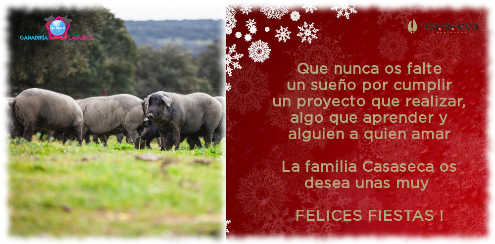 Ganaderia Casaseca